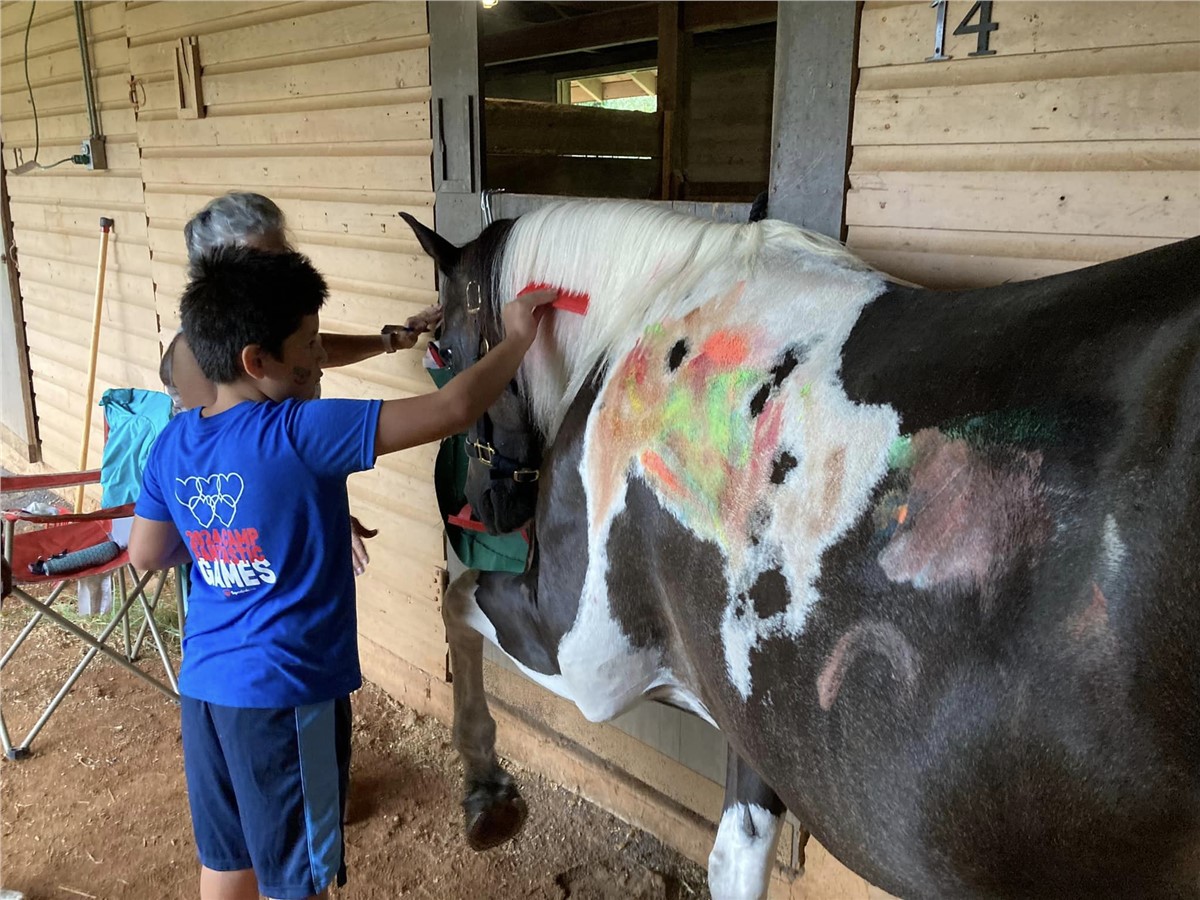 Camp Fantastic camper brushing horses mane