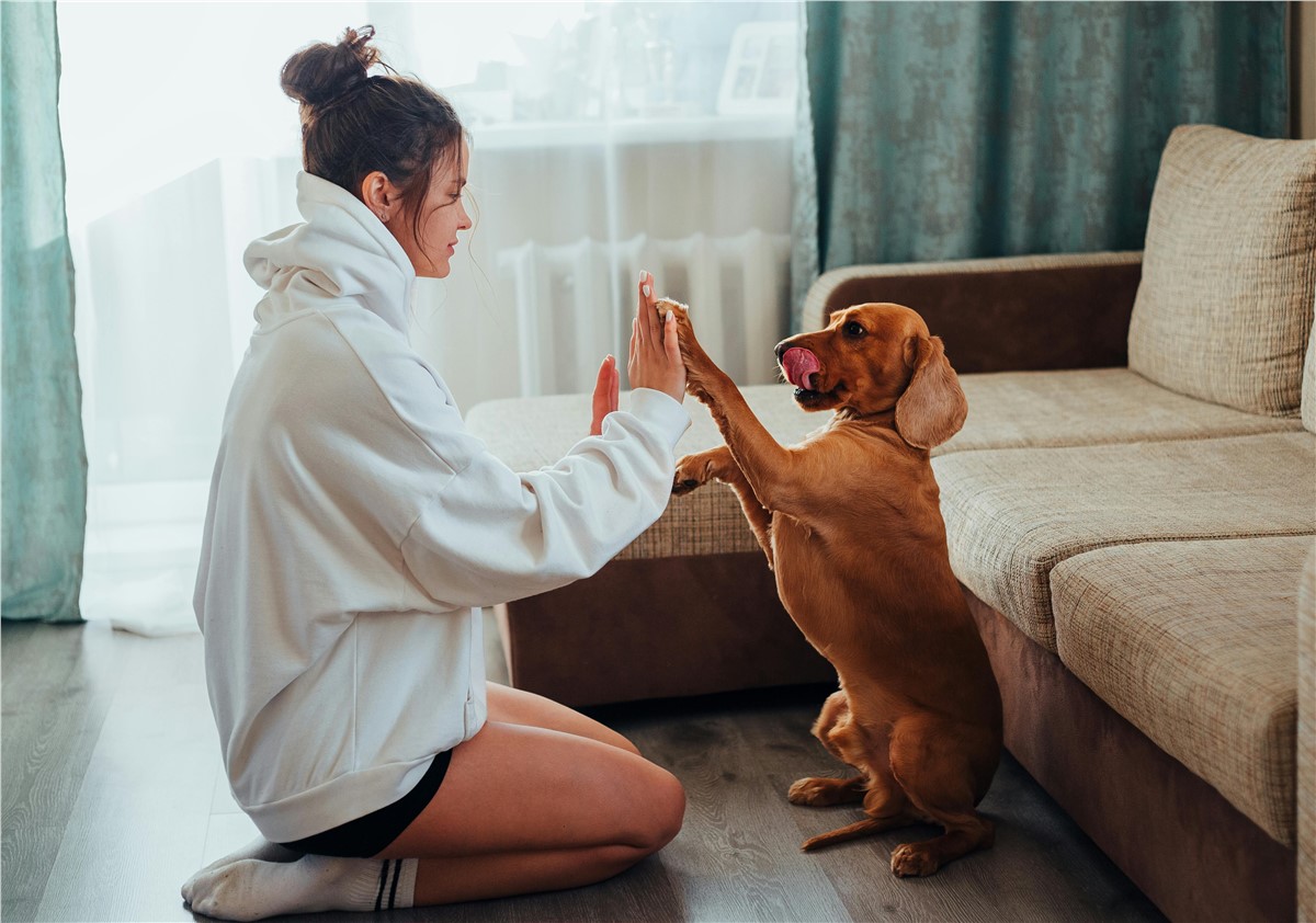 Woman with her dog in living room