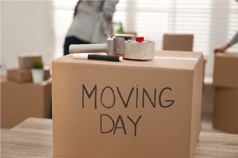 Moving Day Tips