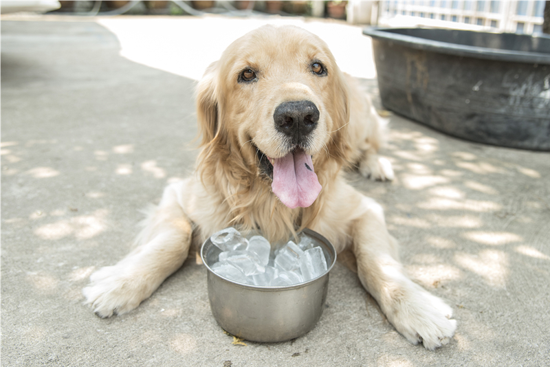 staying cool