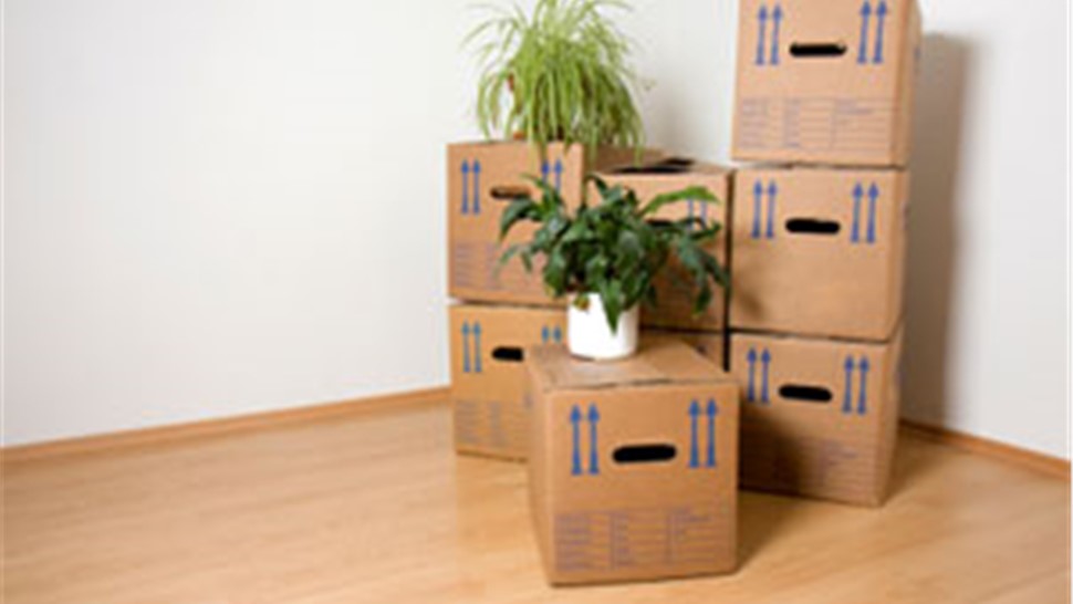 Household Storage Photo 1