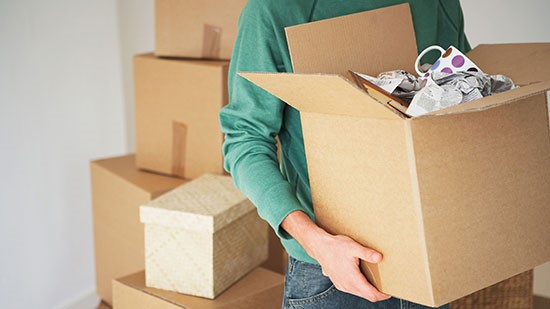 Free Boxes