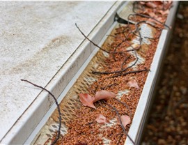 Gutter Guards Photo 3