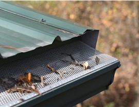 Gutter Guards Photo 2