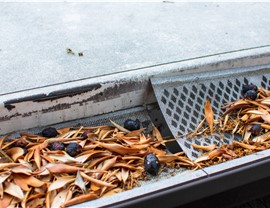 Gutter Guards Photo 4