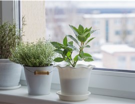 Garden Windows Photo 3