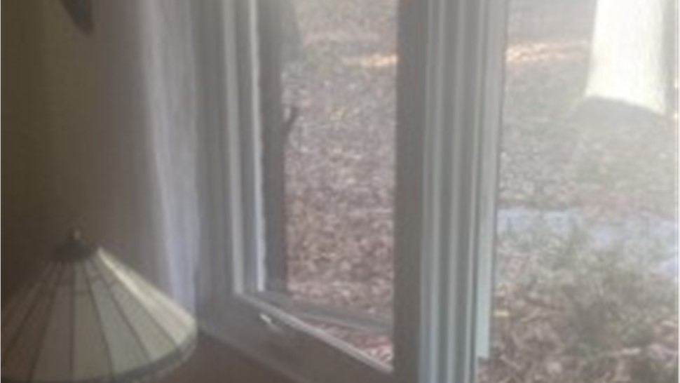 Doors, Windows Project in Severna Park, MD by ACM Window & Door Design