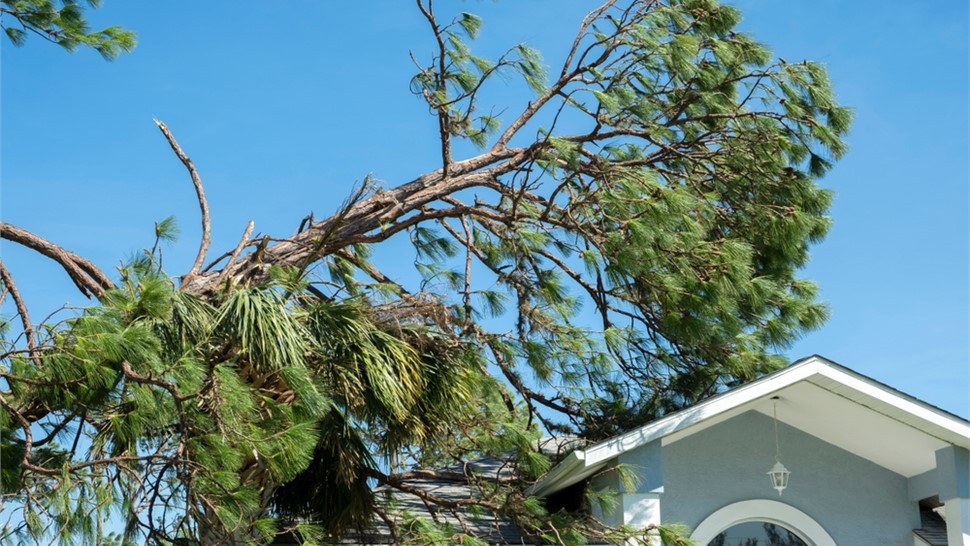 Insurance Claims Photo 18