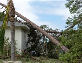 Wind Damage Photo 84