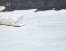 Roof Coating Photo 95