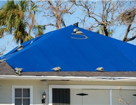 Emergency Services Photo 56