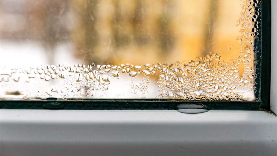 Condensation Photo 29