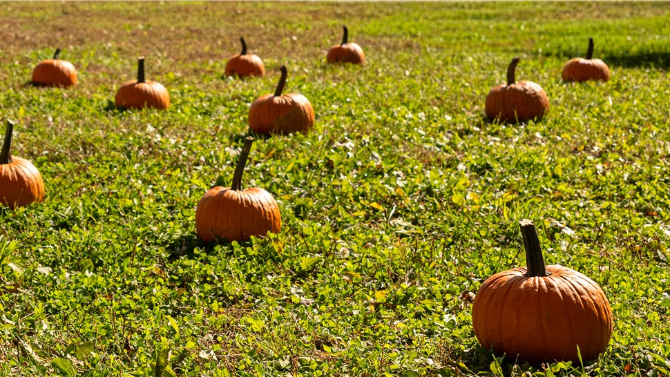 All County Cares Photo 61