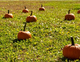 All County Cares Photo 61