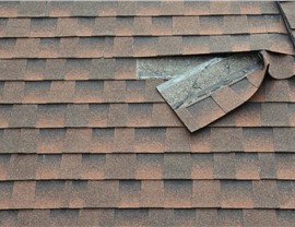 Roofing - Roof Repair Photo 41
