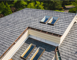 BRAVA Slate Roofing Tile Photo 6
