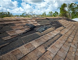 Storm Damage Photo 23