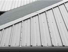 Roofing - Roof Types Photo 26