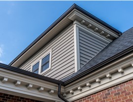 Fiber Cement Siding Photo 4