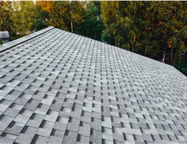 Asphalt Roofing Photo 4