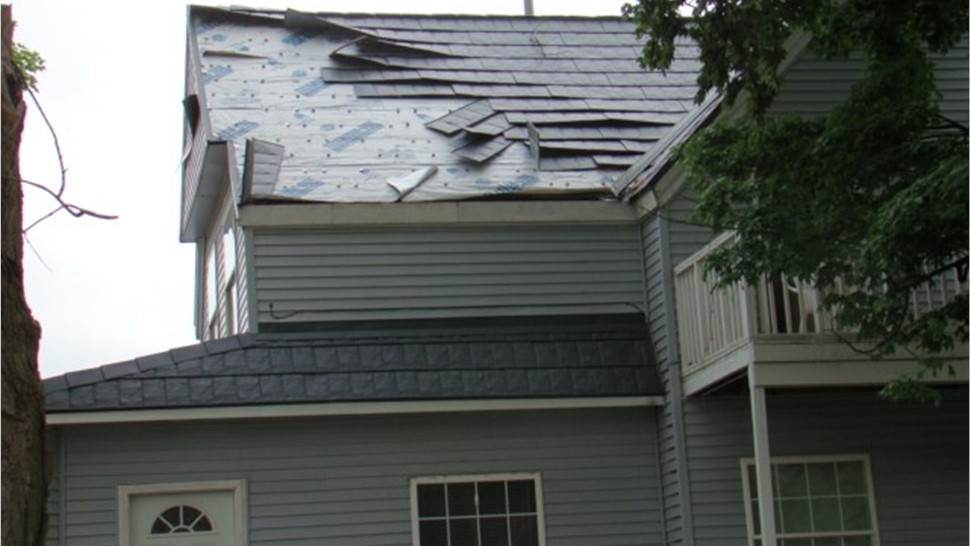 Storm Damage - Wind Damage Photo 1