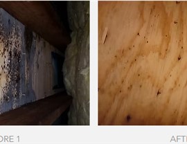 Mold remediation Photo 64