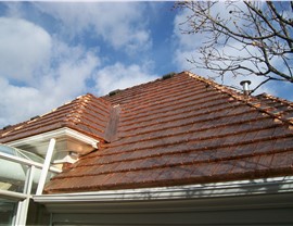 Signature Series Photo 4