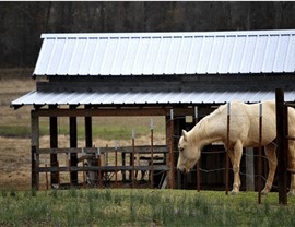 Agricultural Metal Roofing Photo 4
