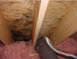 Attic Inspections Gallery Photo 3