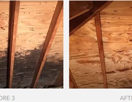 Mold remediation Photo 39