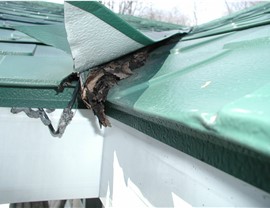 Storm Damage Photo 3