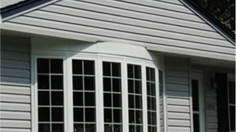 Windows - Bow Photo 1