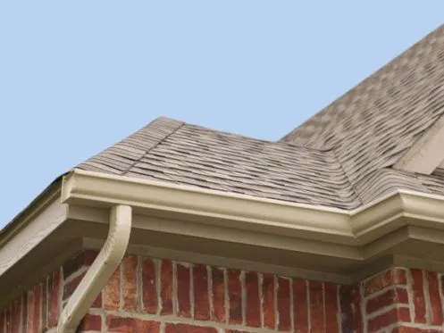 Why Should You Call a Roofer to Remove Roof Moss?