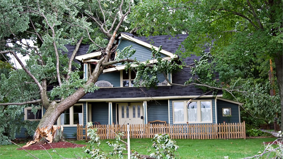 Storm Damage - Hurricane Damage Photo 71