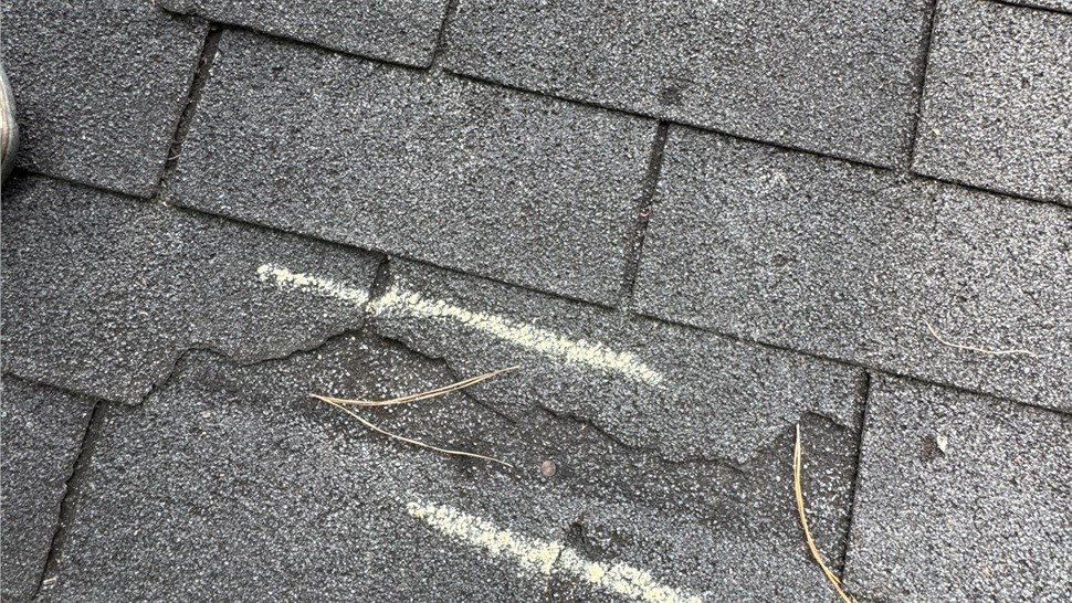 Storm Damage Photo 38