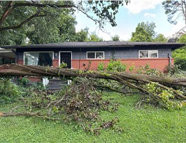 Service Areas - Storm Damage Photo 15