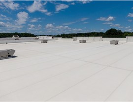 Roofing - Flat Roofs Photo 19