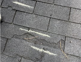 Service Areas - Storm Damage Photo 47