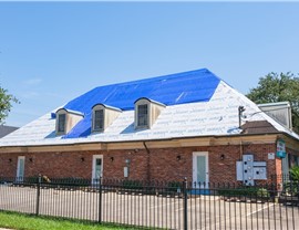 Storm Damage - Hurricane Damage Photo 12