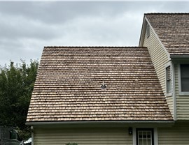 Roof Types Photo 12