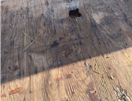 Roofing Leaks Photo 3