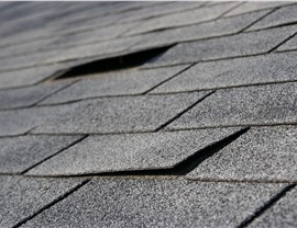 Roofing - Roof Repair vs. Replacement Photo 11