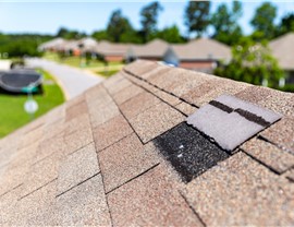 Roofing - Roof Repair Photo 24