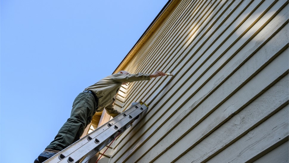 Outdoor Living - Exterior Painting Photo 21