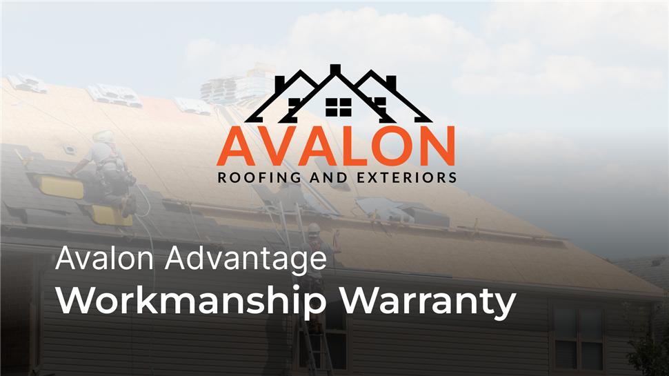 Limited Warranties