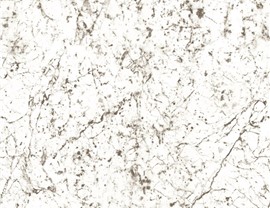 Premium Shower Base Colors Photo 7