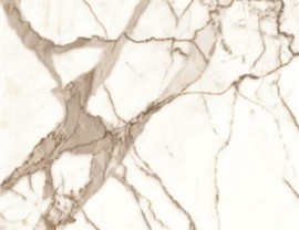 Premium Shower Base Colors Photo 10