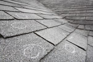 Professional Roof Inspection