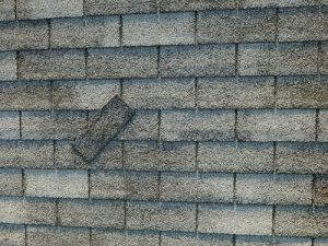 5 Common Roof Issues
