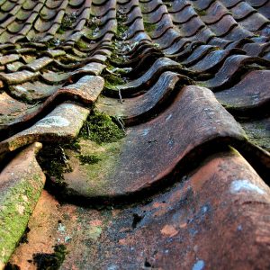 old-tile-roof